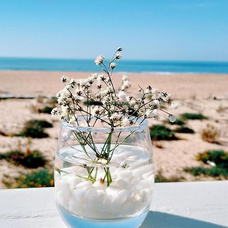 Flor Do Mar Διαμέρισμα Oeiras Εξωτερικό φωτογραφία