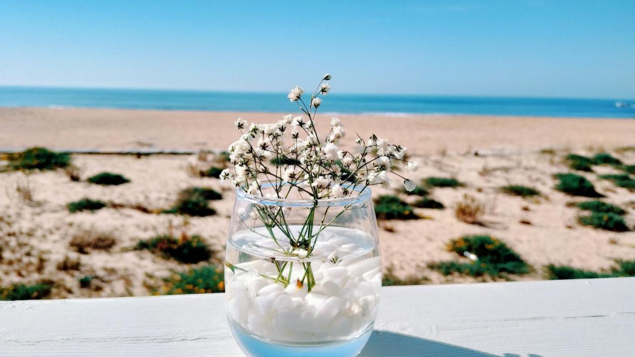 Flor Do Mar Διαμέρισμα Oeiras Εξωτερικό φωτογραφία